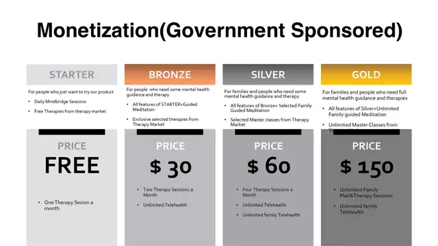 Mindbridge, in detail - Why are we worth the investment?, slide 2 of 11