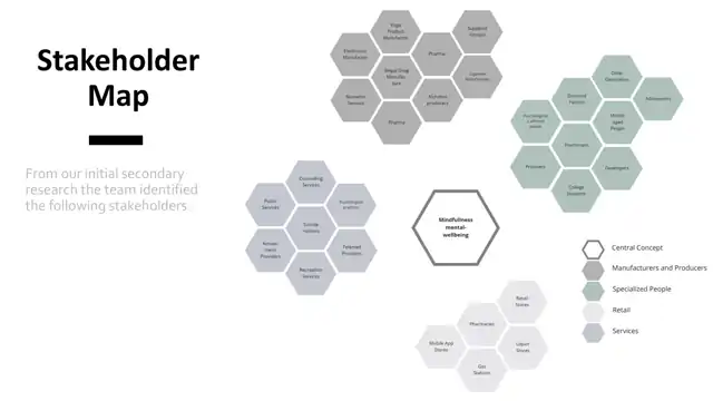 Mindbridge, in detail - Design criteria, slide 1 of 2