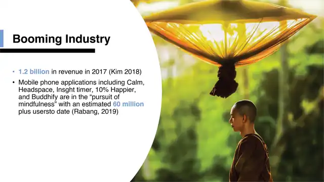 Mindbridge, in detail - Why do we do this?, slide 2 of 4