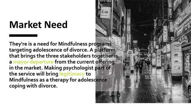 Mindbridge - Secondary research, slide 2 of 9