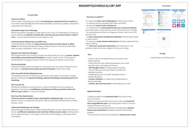 Mindbridge - Competitor research, slide 5 of 6