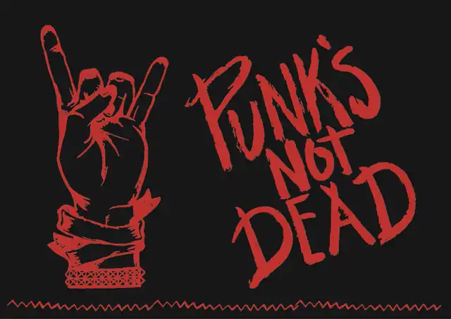 Past designs - Punk 13