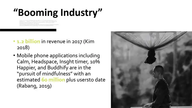 Mindbridge, in detail - Blue ocean strategy, slide 2 of 2
