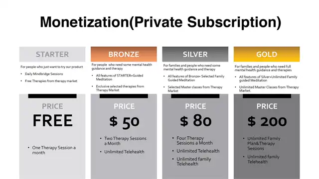Mindbridge, in detail - Why are we worth the investment?, slide 1 of 11