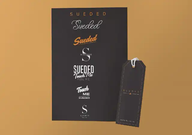 Past designs - Branding 5