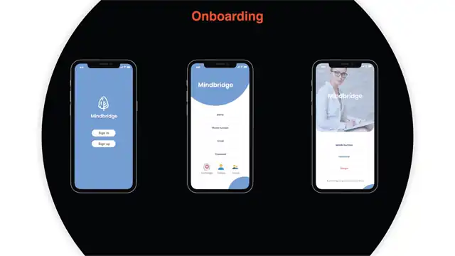 Mindbridge - High fidelity wireframes, slide 1 of 4
