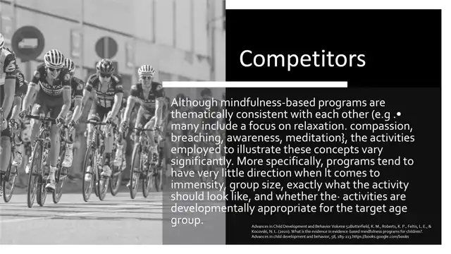 Mindbridge - Secondary research, slide 3 of 9