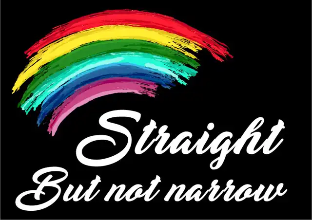 Past designs - Pride 13