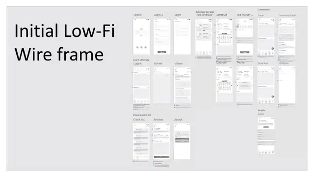 Mindbridge - Low fidelity wireframes, slide 1 of 3