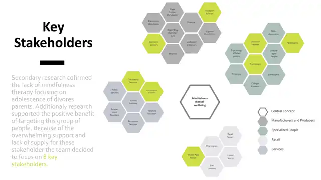 Mindbridge, in detail - Design criteria, slide 2 of 2
